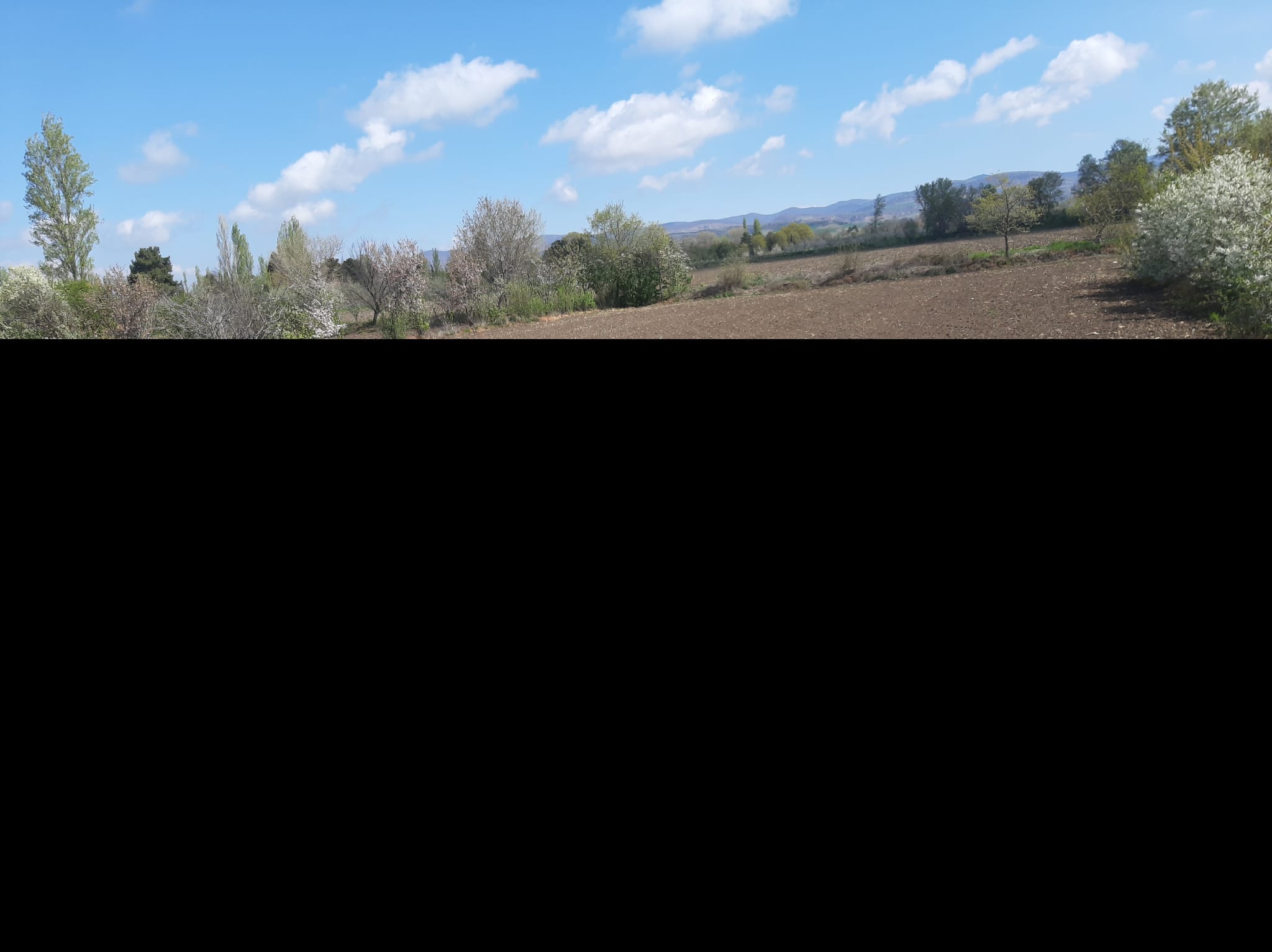 MABEL'DEN ANA  YOL KENARINDA SATILIK FIRSAT TARLA